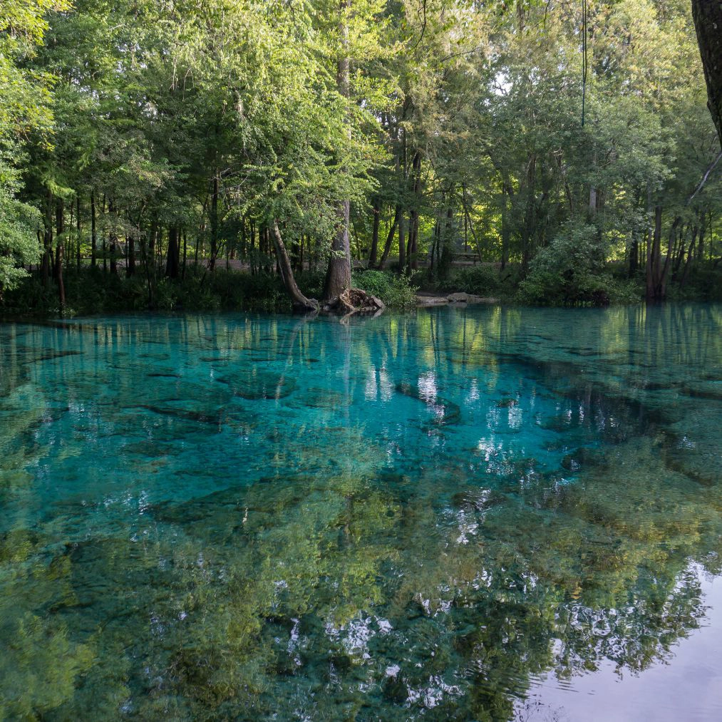 RV Travel Destination Ginnie Springs, FL RV